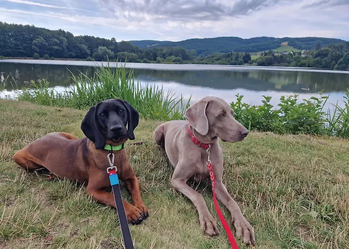 Apartman Lýdia Bölényfalu